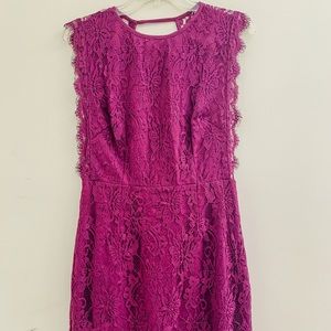Kimchi Blue Scalloped Lace Backless Fuchsia dress